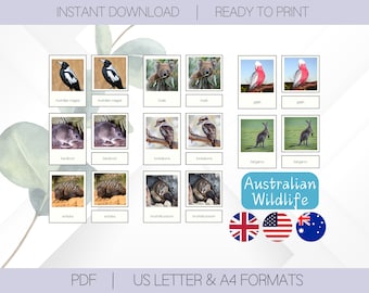25 Tarjetas de animales australianos / Escuela Montessori Tarjetas didácticas de 3 partes / Tarjetas de nomenclatura Material Montessori / Juguetes educativos para la educación en el hogar