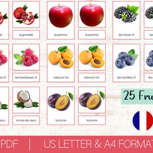 Apprendre le français avec 25 fruits | École Montessori en 3 parties | Cartes de nomenclature imprimables | Jouets éducatifs pour l'enseignement à domicile