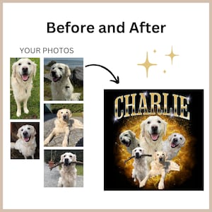 Pode incluir: Uma colagem de fotos de um c&atilde;o golden retriever chamado Charlie. As fotos mostram o c&atilde;o em diferentes poses e cen&aacute;rios. A colagem est&aacute; sobre um fundo preto com um efeito de brilho dourado e o nome "CHARLIE" em letras douradas.