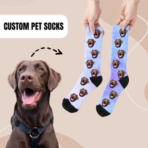 May include: Custom pet socks with a repeating pattern of a brown dog's face on a purple and blue galaxy background. The socks are shown on a hand.