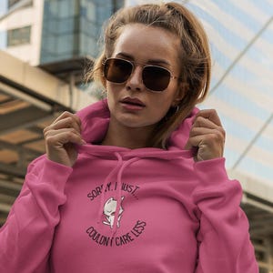 Sudadera con capucha de gato divertida, sudadera unisex, regalo para amantes de los gatos, sudadera con capucha con gráfico sarcástico, regalo para mamá gata, sudadera con capucha genial de gato, sudadera con capucha de regalo, sudadera con capucha divertida