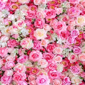 Pode incluir: Uma densa disposição de rosas cor-de-rosa, variando em tons de rosa claro a magenta intenso, intercaladas com flores brancas. A imagem mostra um fundo floral, perfeito para casamentos ou decoração.