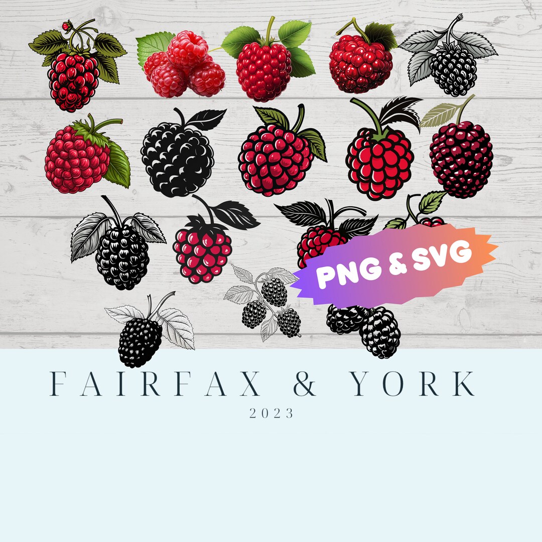 Raspberry Clipart, Raspberry Svg, Raspberry Png Clipart, Food Clipart ...