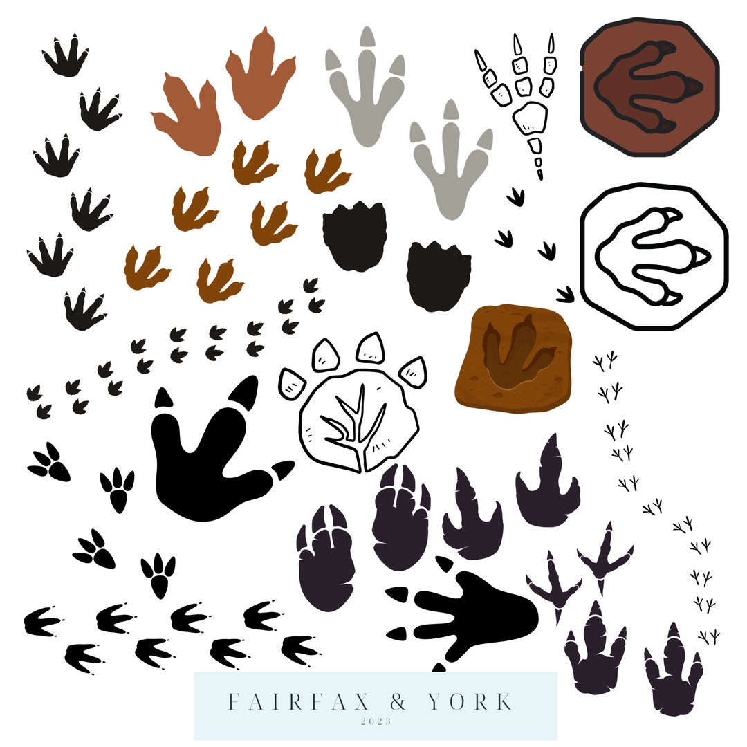 Dinosaur Tracks Svg Bundle Dinosaur Feet Svg Bundle Dino Claws Tracks