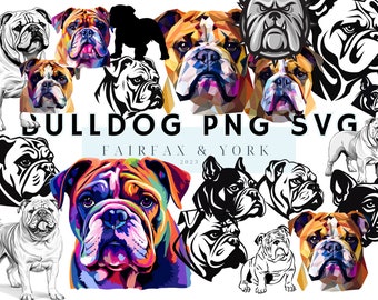 bulldog svg, bulldog cheer svg, english bulldog svg, sitting bulldog svg, english bulldog png svg, bulldog pride svg, bulldog silhouette svg