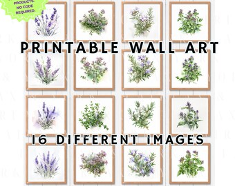 Stunning Wall Art Lavender and Herbs Digital Art Collection | Lavender Wall Art | Instant Download PNG Files | Watercolour Botanical |