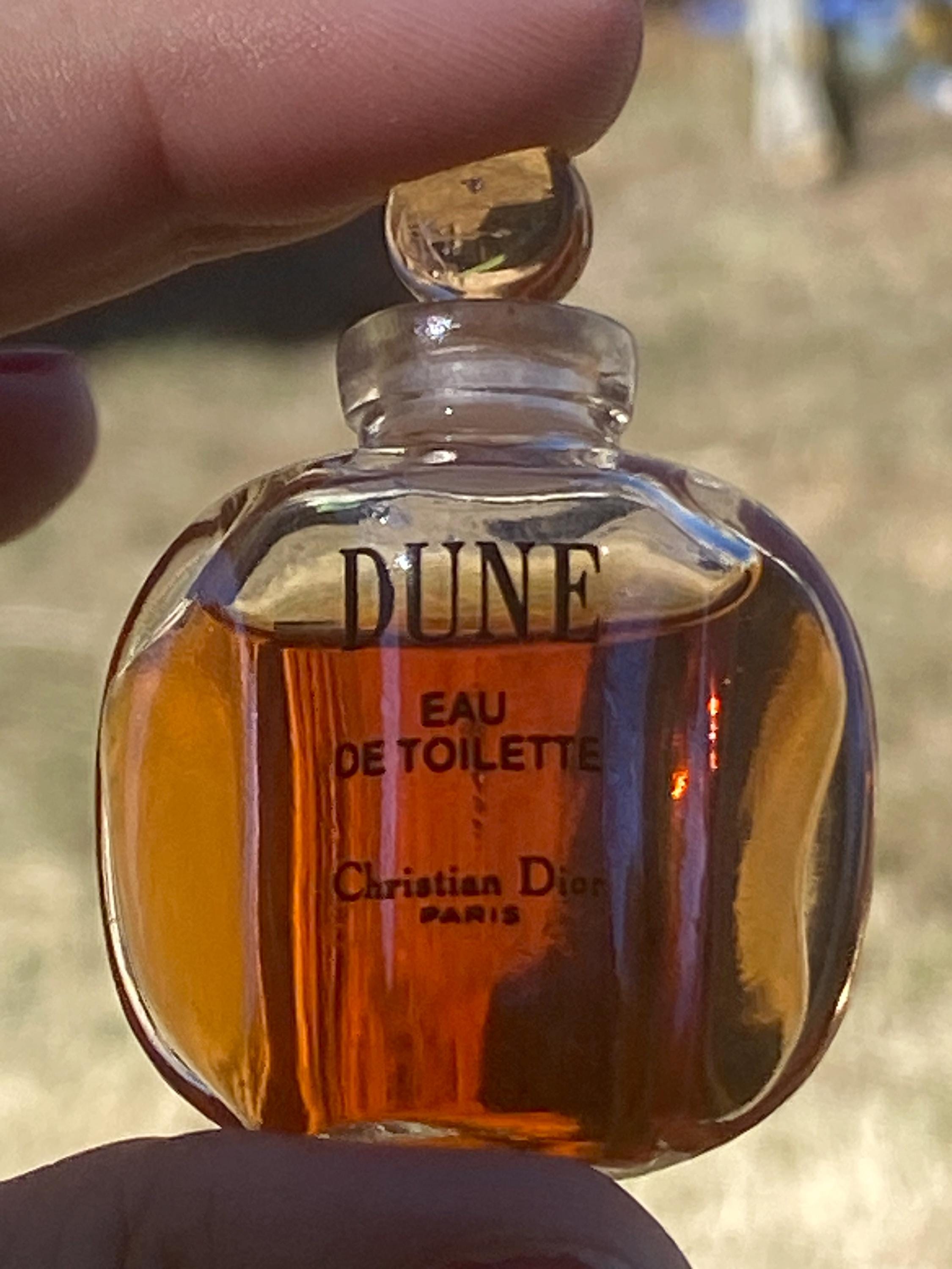 Dior Dune Perfume - Etsy