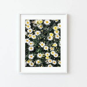 White Daisy Wall Art Print, Daisy Printable Art, Flower Art Print, Wildflower Botanical Art, Daisy Flower Print