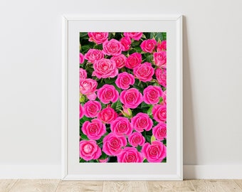 Moderne Rose Wandkunst, lebendige rosa Rose Druck, Blumen Stillleben Fotografie, digitaler Download