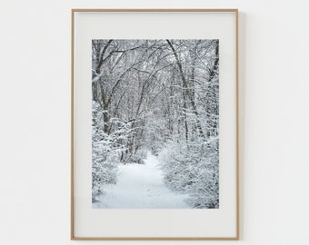 Winter Forest Print: Monochrome Landscape Photography (Digital Download)
