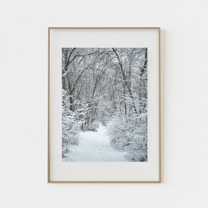 Impression forêt hivernale : photographie de paysage monochrome (téléchargement numérique)