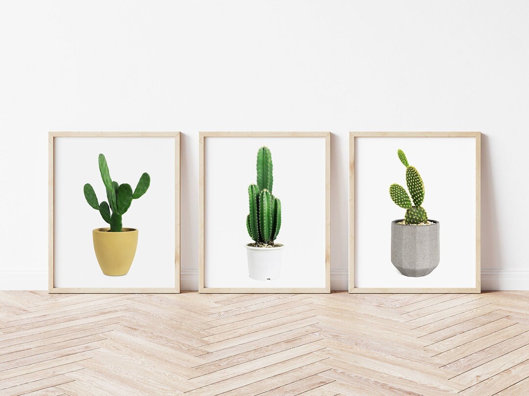 Farmhouse Botanical Cactus Set, 3 Succulent Photos for Plant Lovers ...