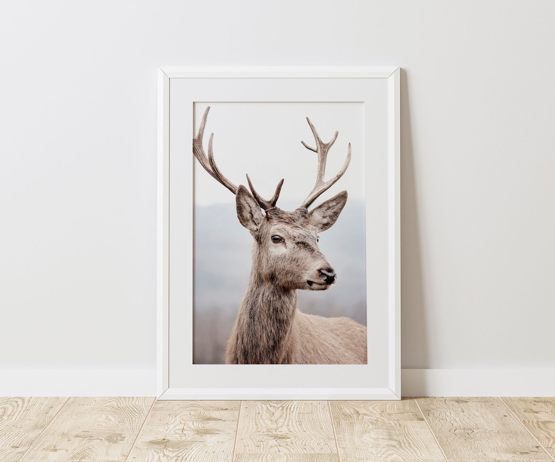 Wild Deer Wall Art, Forest Animal Wall Decor, Stag Print, Woodland