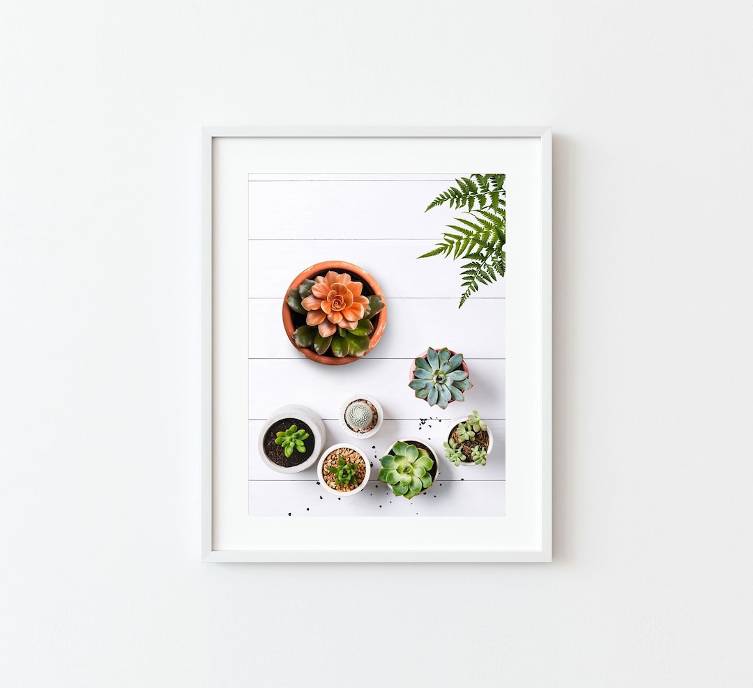 Succulent Plant Art Print: Minimalist Botanical Wall Decor (digital ...