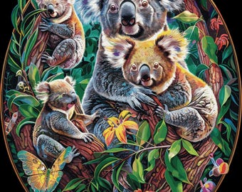 Koala