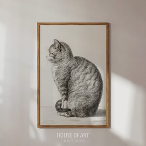 Cat Print, Vintage Pet Cat Wall Art, Cat Wall Decor, Retro Cat Lover Gift, Black White Cats Drawing, Cat Mom Decor, Farmhouse Wall Art