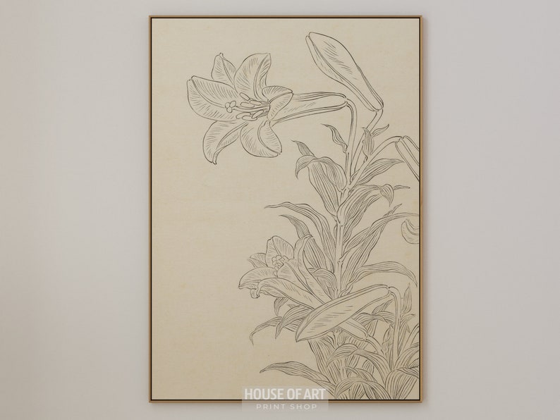 Op de afbeelding: Een zwart-witte lijntekening van een lelie met bladeren op een beige achtergrond. De afbeelding is ingelijst met een dunne bruine lijst. De tekst "HOUSE OF ART PRINT SHOP" staat onderaan de afbeelding.