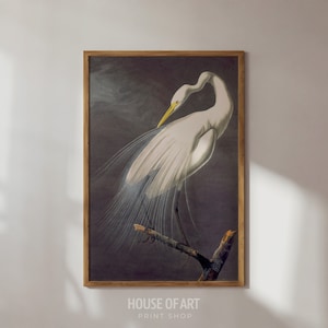 Great Egret Painting, White Egret Watercolor, Shorebird Print, Bird Study, Nature Wall Art, Vintage Gallery Wall Print, PRINTABLE Wall Art