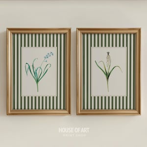 May include: Two framed botanical prints. Each print features a watercolor illustration of a flower with green leaves and stems. The frames are gold with a green and white striped background. The text "HOUSE OF ART PRINT SHOP" is at the bottom.