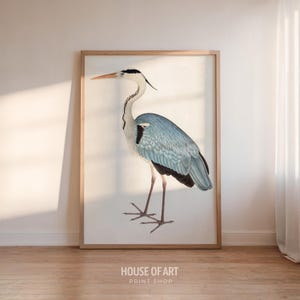 Impresión vintage de garza gris, arte mural de aves costeras (descarga digital)