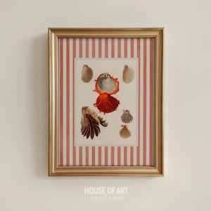 May include: A framed print featuring a collection of seashells in various shapes and colors. The artwork is set against a background of red and white vertical stripes and is enclosed in a gold frame. The text "HOUSE OF ART PRINT SHOP" is visible at the bottom.