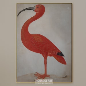 Flamingo Art Print, Girly Apartment Decor, Scarlet Ibis Tropical Bird Print, Vintage Flamingo Bathroom Print, Coquette Pink Flamingo Poster
