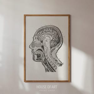 May include: A framed black and white anatomical illustration of a human head, showcasing the brain and related structures in a side profile. The print is in a wooden frame. The text "HOUSE OF ART PRINT SHOP" is at the bottom.