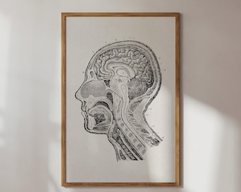 アンティーク解剖図 大判アート作品 株式会社玄光社 - うつくしい美術解剖図 絵画