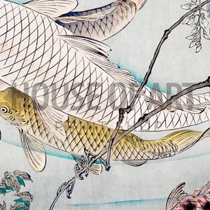 Puede incluir: Dos peces koi nadando en un fondo de agua azul y blanco. Los peces son blancos y dorados con marcas negras. Los peces nadan cerca de una rama de glicinia con flores moradas.