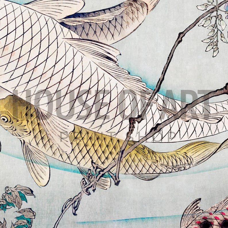 Puede incluir: Dos peces koi nadando en un fondo de agua azul y blanco. Los peces son blancos y dorados con marcas negras. Los peces nadan cerca de una rama de glicinia con flores moradas.