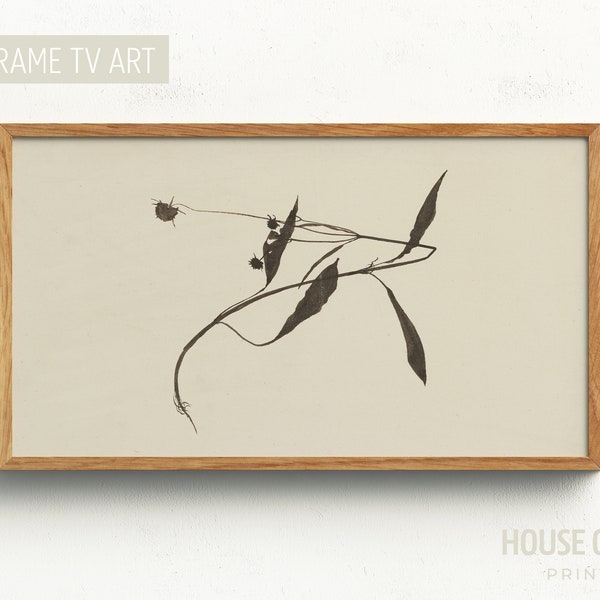 Samsung Frame TV Art 4K, Vintage Broken Flower DIGITAL Artwork, Minimal Botanic Painting, Black White Floral Indian Ink Drawing Paper