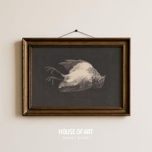 Impresión de pájaro muerto, arte mural de Halloween, póster de la muerte de un petirrojo, arte mural vintage de animales mórbidos, boceto de Vanitas en blanco y negro, decoración gótica