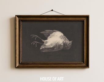 Dead Bird Print, Halloween Wall Art, Death of a Robin Bird Poster, Vintage Morbid Animal Wall Art, Vanitas Black White Sketch, Gothic Decor