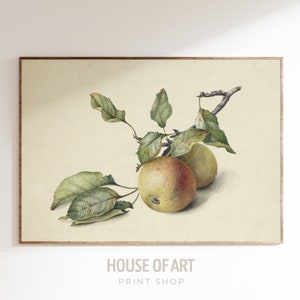 Disegno di mele, stampa di natura morta autunnale, due mele su un ramoscello, studio sulla natura autunnale, stampa artistica del raccolto, stampa da parete della galleria, arte da parete STAMPABILE