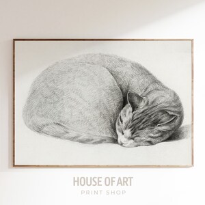 Sleeping Cat Print, Vintage Pet Cat Wall Art, Cat Wall Decor, Cat Lover Gift, Black White Cats Drawing, Farmhouse Wall Art