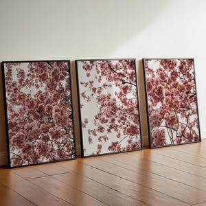 Set of 3 Cherry Blossom Photography Print – Pink Sakura Wall Art, Fine Art Spring Landscape, Floral Tree Photo, Minimalist Nature Decor