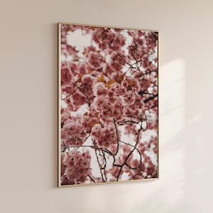 Cherry Blossom Photography Print – Pink Sakura Wall Art, Fine Art Spring Landscape, Floral Tree Photo, Minimalist Nature Decor