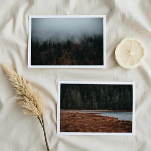 Könnte beinhalten: Zwei Landschaftsfotografien mit weißen Rändern. Eine zeigt einen nebligen Wald mit dunkelgrünen und rotbraunen Bäumen. Die andere zeigt einen Wald an einem See mit braunem Gras. Eine getrocknete Pflanze und eine Zitronenscheibe sind ebenfalls vorhanden.