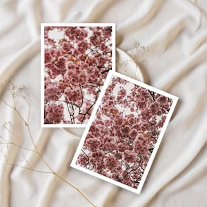 Juego de 2 postales de flor de cerezo: fotografía floral, papel premium A6, impresiones florales minimalistas de naturaleza, decoración, regalo, diario y álbum de recortes.