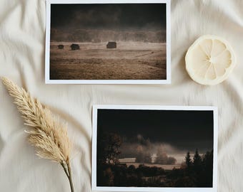 Conjunto de postales fotográficas de bosque neblinoso y dorado melancólico: impresiones artísticas brillantes