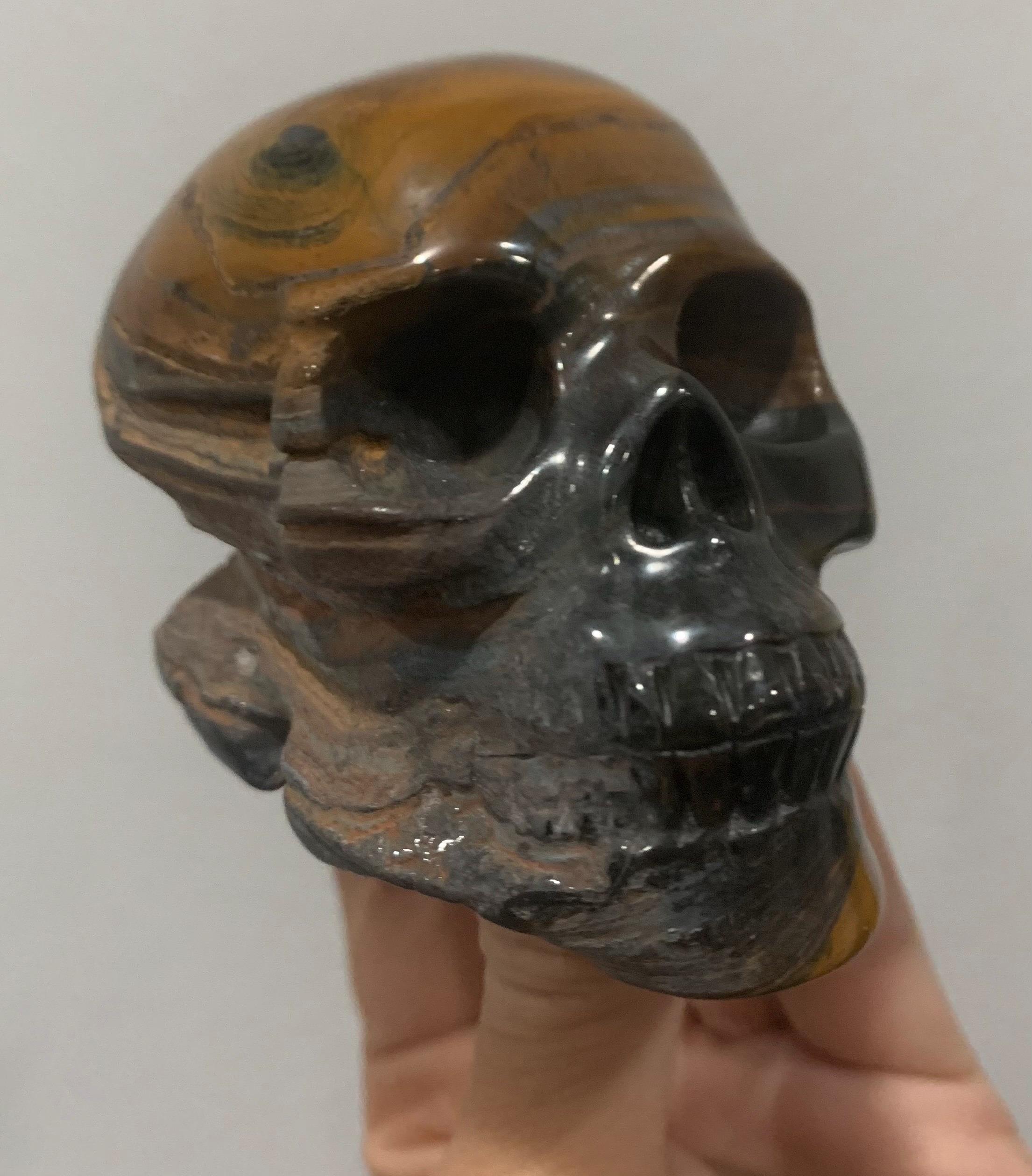 グランドキャニオン - 頭蓋骨 - 手彫り - タイガーアイ - 1.15 ポンド