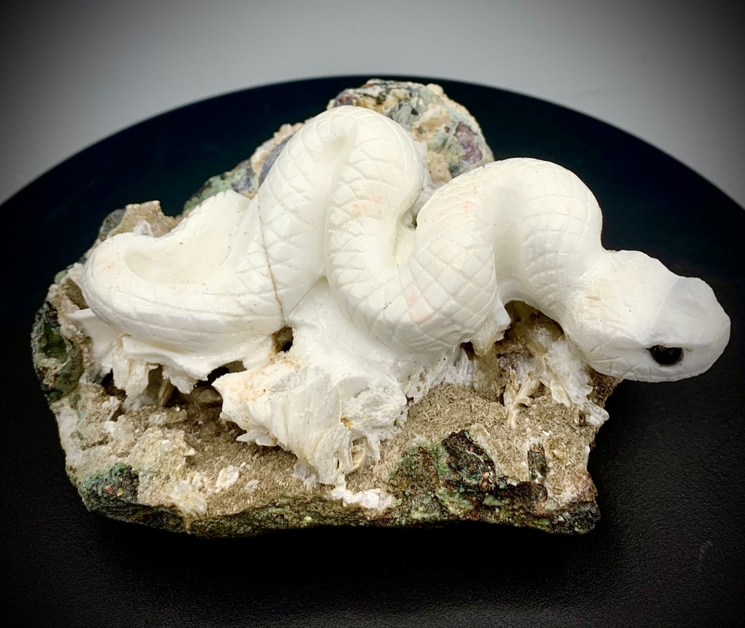 Curated visual reference: Calcium Increase Snake Pathophysiology Surrounding Reference: Rare Hand Carved Snake Calcium Carbonite Druzy Quartz