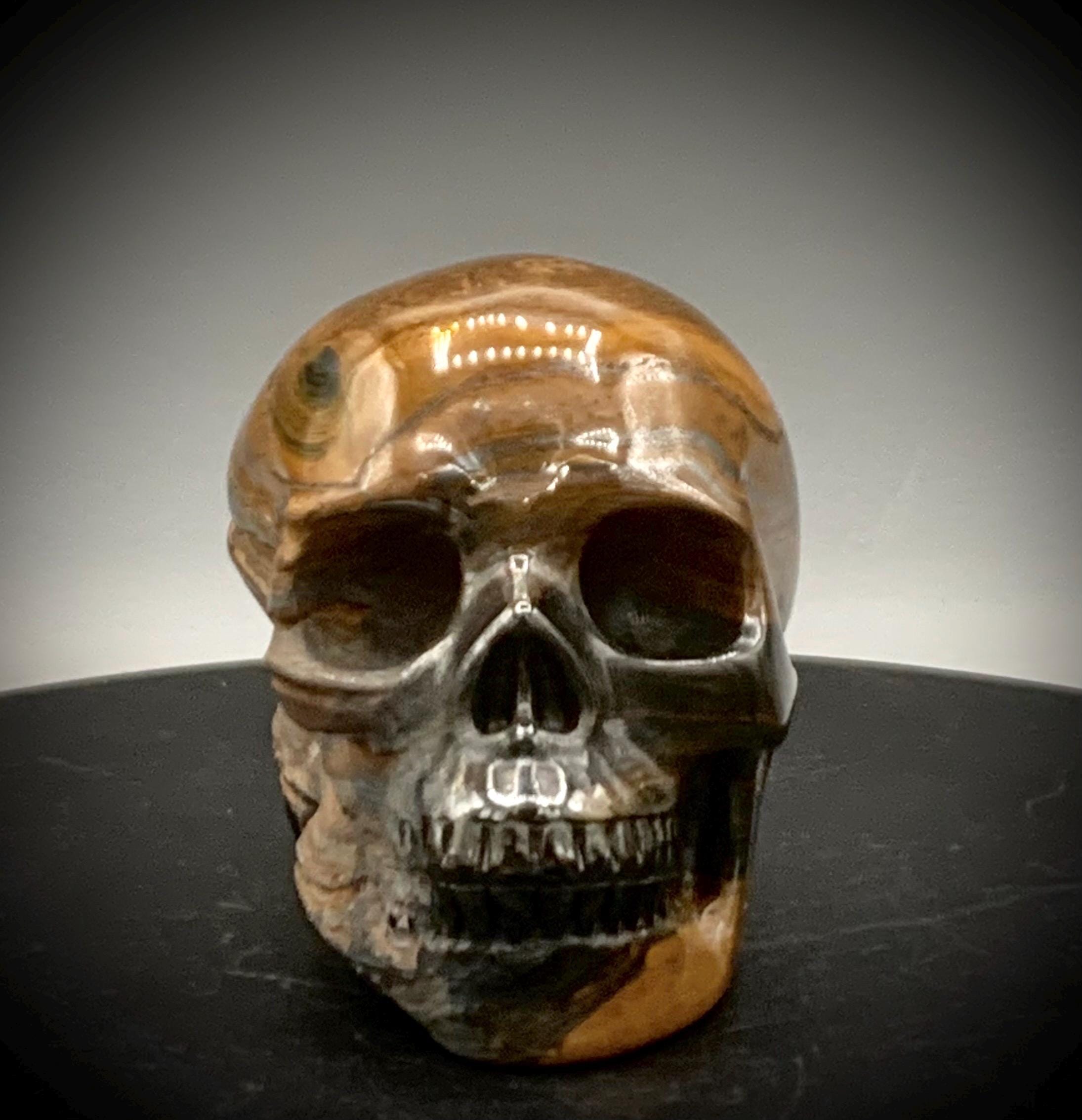 グランドキャニオン - 頭蓋骨 - 手彫り - タイガーアイ - 1.15 ポンド