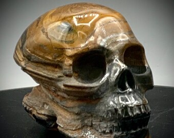 グランドキャニオン - 頭蓋骨 - 手彫り - タイガーアイ - 1.15 ポンド