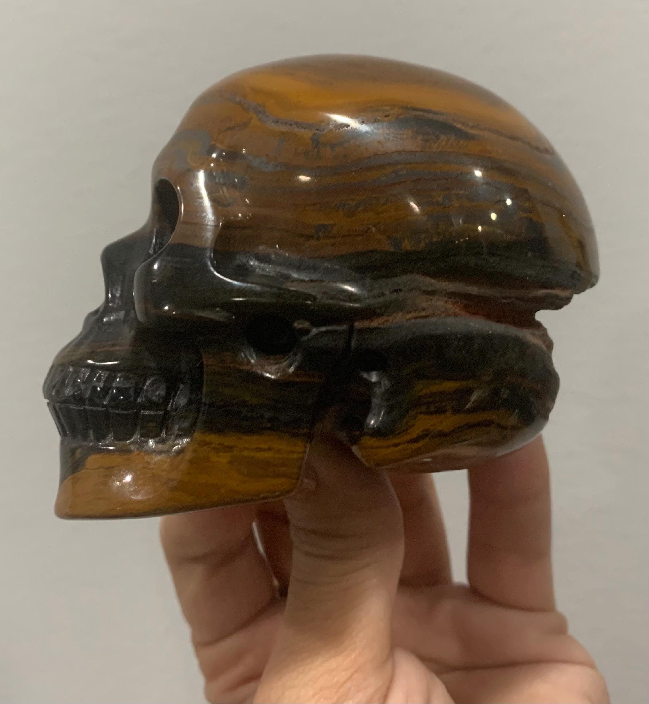 グランドキャニオン - 頭蓋骨 - 手彫り - タイガーアイ - 1.15 ポンド