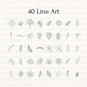 May include: A digital collection of 40 line art illustrations featuring various botanical leaf shapes and tropical foliage designs. Each icon is rendered in a thin, dark green outline against a light background, showcasing diverse plant species.