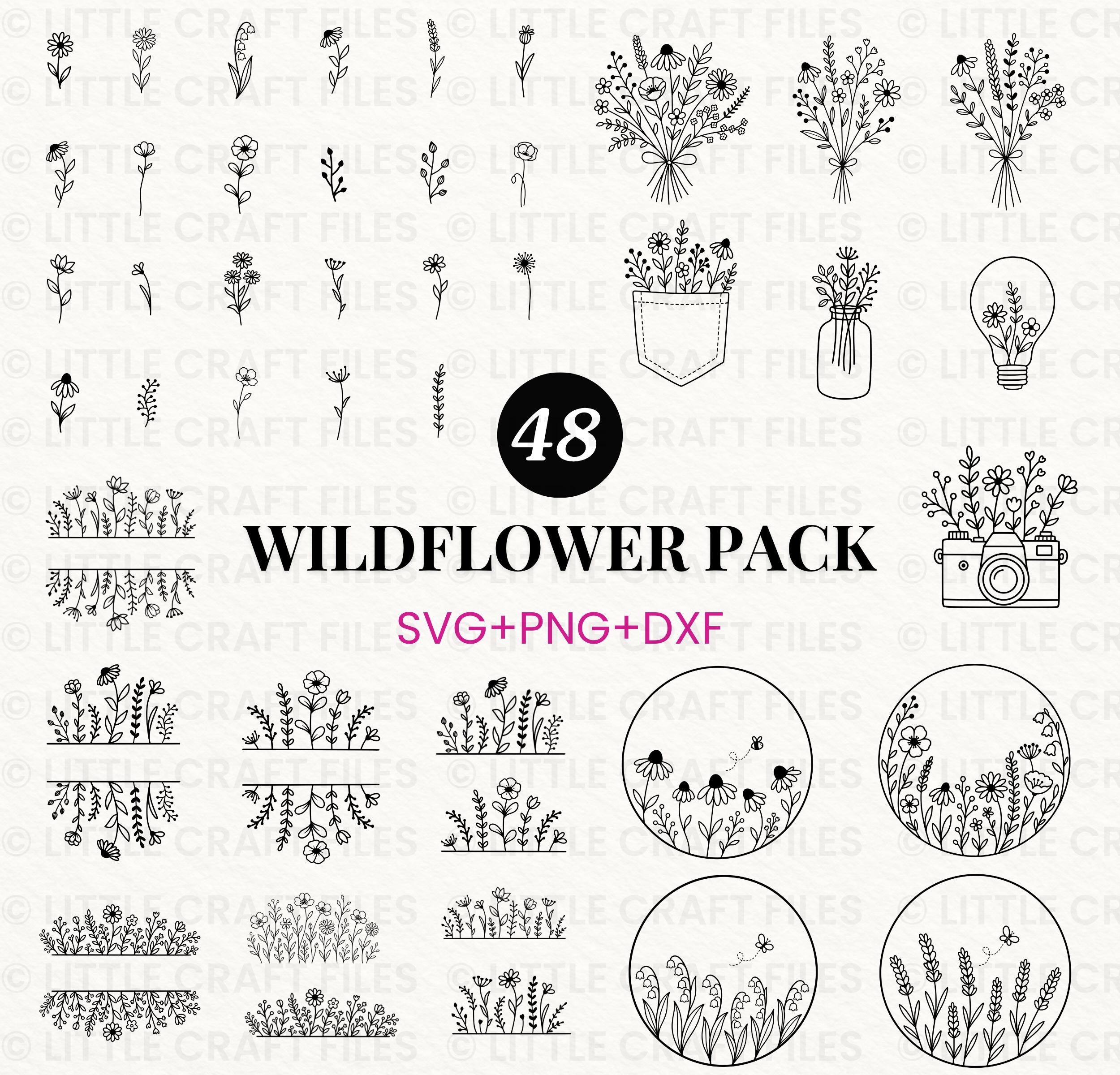 Daisy Name With Daisy Svg - Etsy