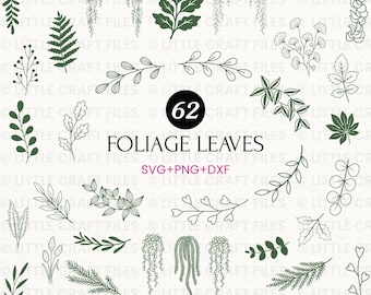 May include: A collection of 62 dark green foliage and leaf illustrations in various styles, including ferns, vines, and branches. The text 62 FOLIAGE LEAVES SVG+PNG+DXF is centered in the middle of the graphic design elements.