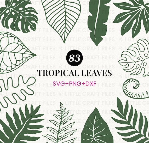 Tropical Leaves SVG Bundle - Monstera Plant Cut Files, Palm Leaf Clipart, Fern Leaf Designs & Exotic Wreath Decor PNG