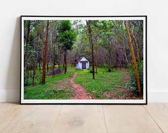 Forest Cabin Photography Print: Rustic Woodland Wall Art (Digital Download)